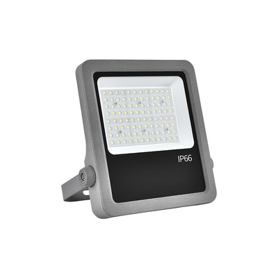 알루미늄 다이 캐스팅 100W LED 홍수등 실내 정원 홍수등 테마파크